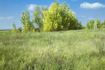 Image showing autumn sketches.