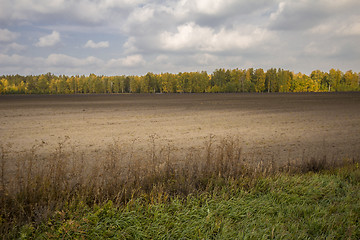 Image showing autumn sketches.