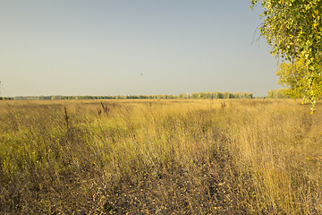 Image showing autumn sketches.