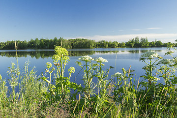 Image showing Landscape.