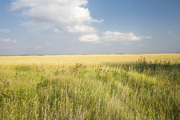 Image showing autumn sketches.