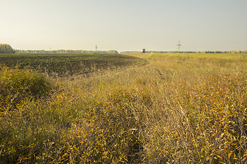 Image showing autumn sketches.