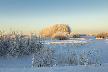 Image showing winter Landscape.