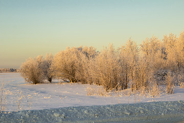 Image showing winter Landscape.