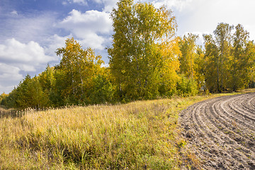 Image showing autumn sketches.