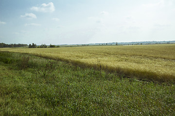 Image showing autumn sketches.