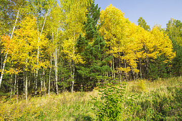 Image showing autumn sketches.