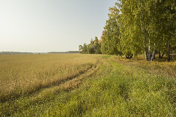 Image showing autumn sketches.