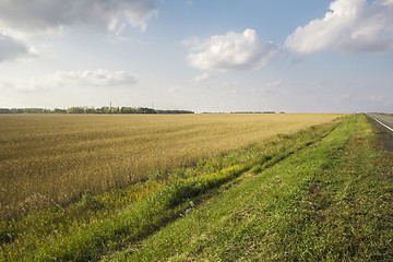 Image showing autumn sketches.