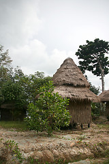 Image showing tree house