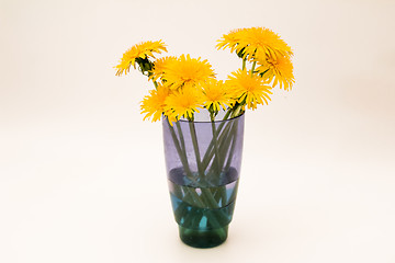 Image showing         Yellow flowers