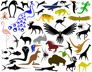 Image showing Animal designs