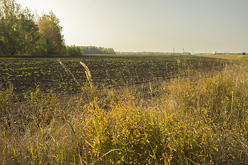 Image showing autumn sketches.