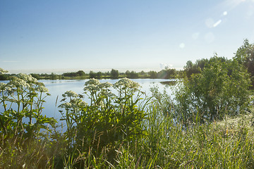 Image showing Landscape.