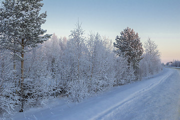 Image showing winter Landscape.