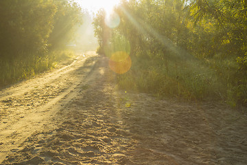 Image showing summer landscape