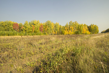 Image showing autumn sketches.