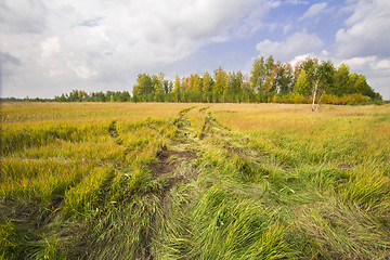 Image showing autumn sketches.