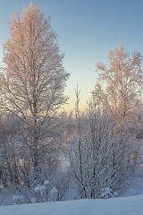 Image showing winter Landscape.