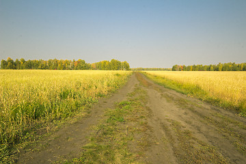 Image showing autumn sketches.