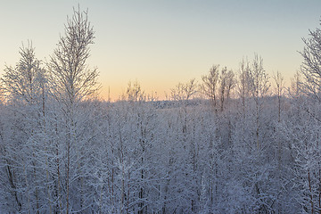 Image showing winter Landscape.