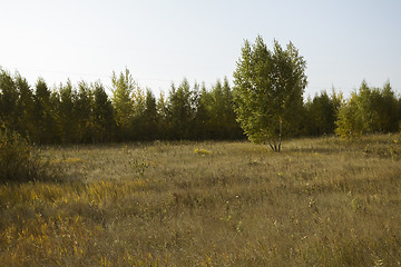 Image showing autumn sketches.