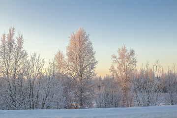 Image showing winter Landscape.