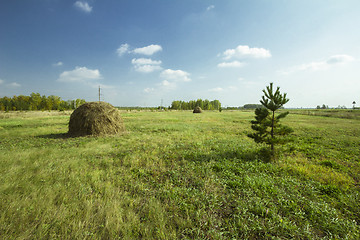 Image showing autumn sketches.