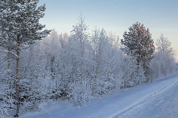 Image showing winter Landscape.