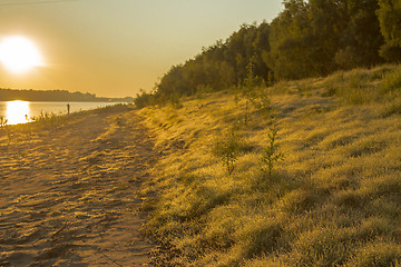 Image showing  summer landscape