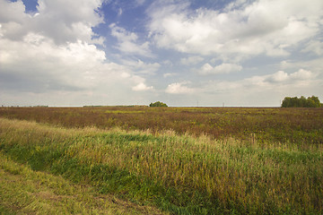 Image showing autumn sketches.