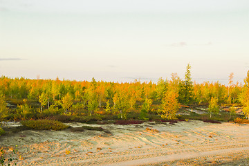 Image showing   Landscapes of the Far North