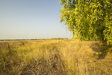 Image showing autumn sketches.