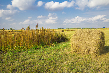 Image showing autumn sketches.