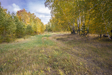 Image showing autumn sketches.