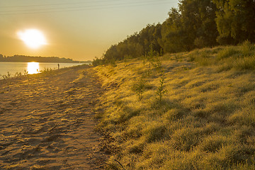 Image showing  summer landscape