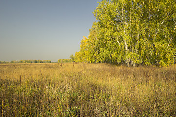 Image showing autumn sketches.