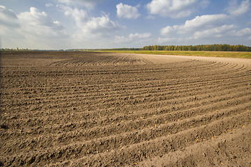 Image showing autumn sketches.