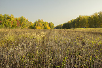 Image showing autumn sketches.