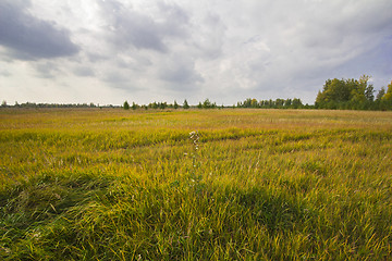 Image showing autumn sketches.