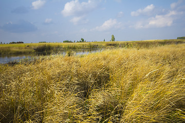 Image showing autumn sketches.