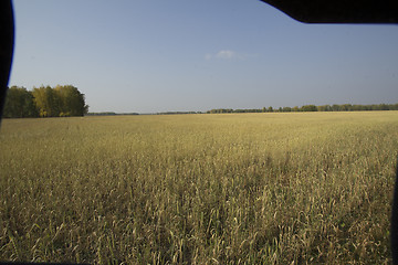 Image showing autumn sketches.