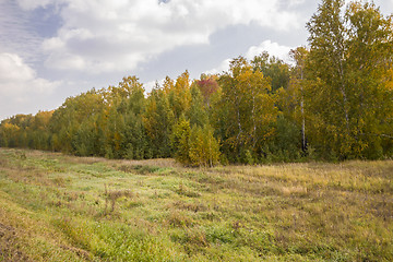 Image showing autumn sketches.