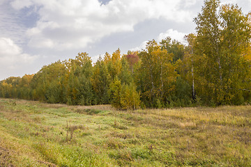 Image showing autumn sketches.