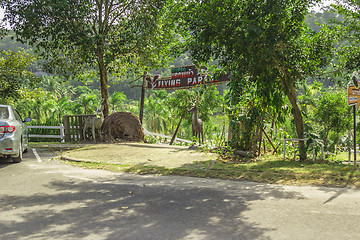 Image showing Tailand.Pattayya.Zoopark