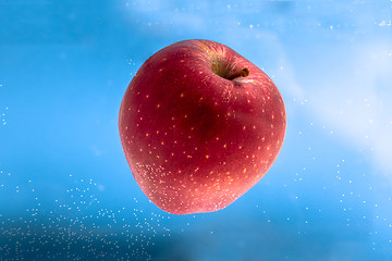 Image showing Small apple in see trough water