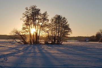 Image showing Winter Landscape