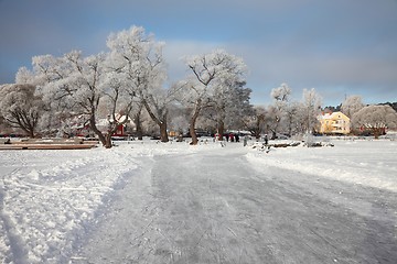 Image showing Frozen lake