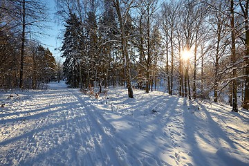 Image showing Winter Park