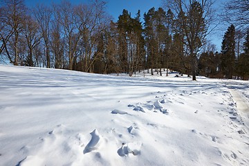 Image showing Winter Landscape